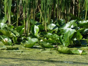 RV Danube Delta trip